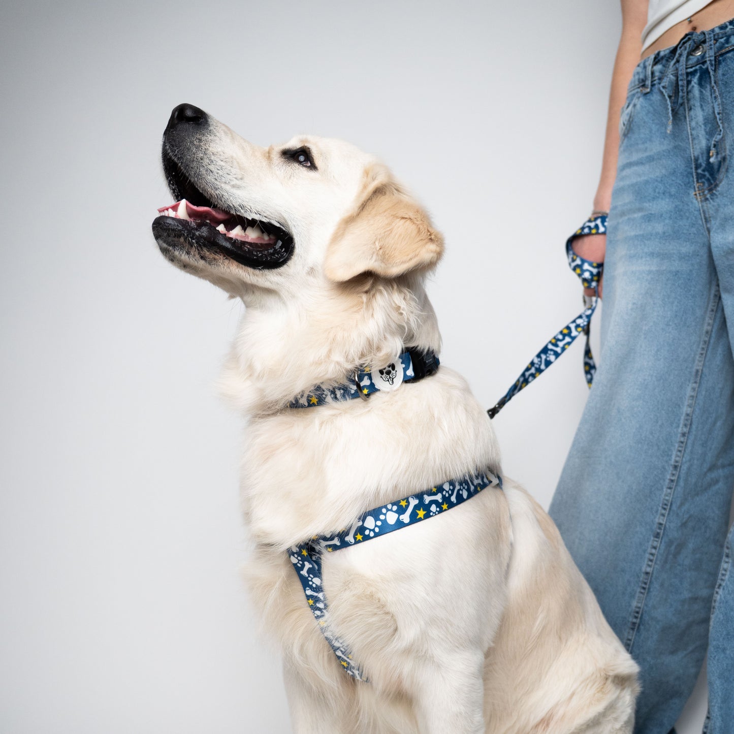 SET ROCKY